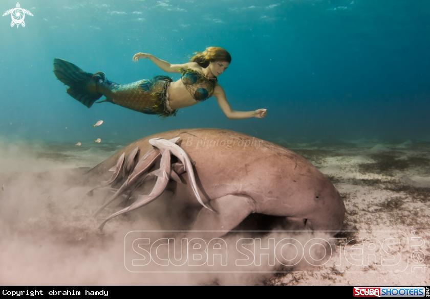 A mermaid&sea cow