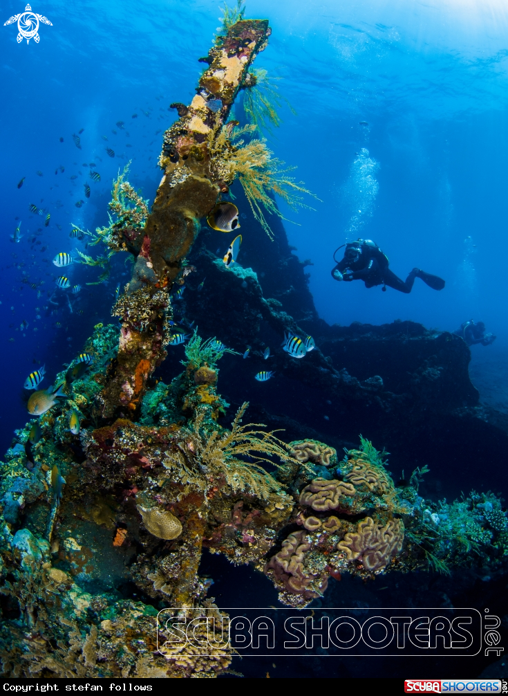 A Liberty Wreck