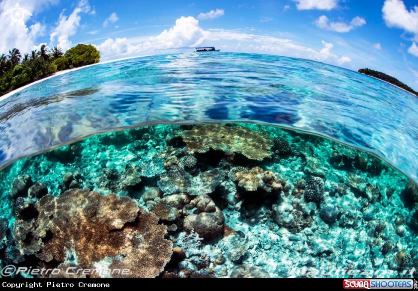 A Maldives scenery