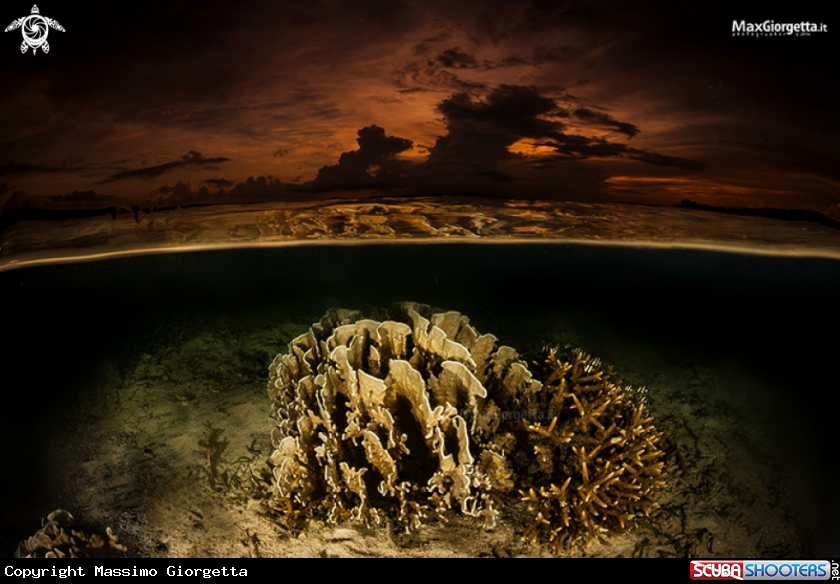 A Seascapes