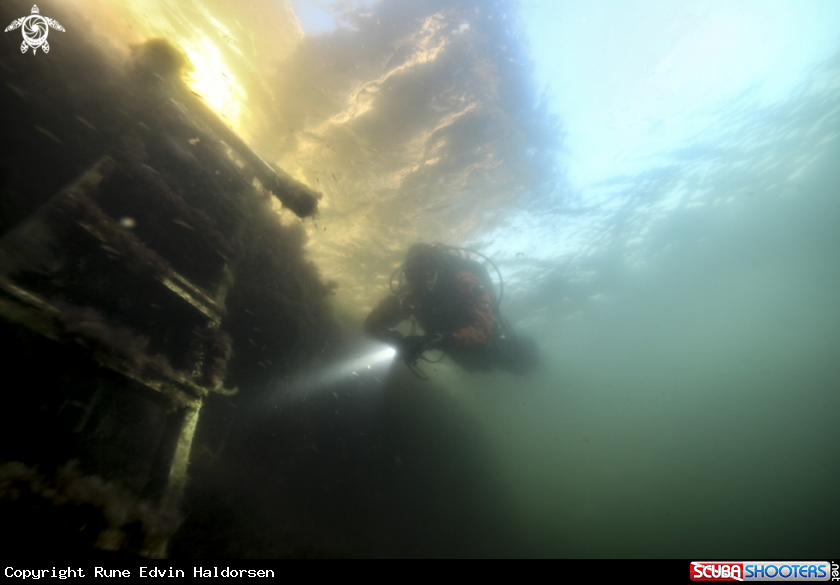 A Diver