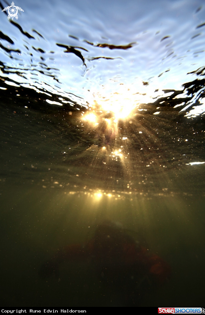 A Diver