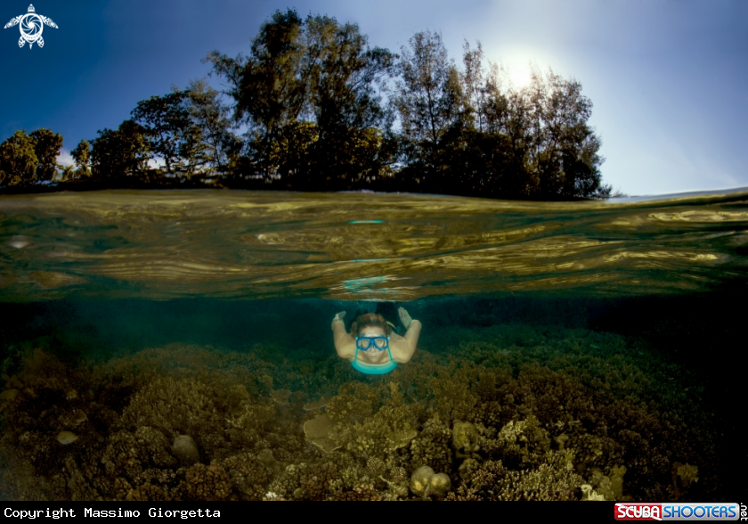 A reef