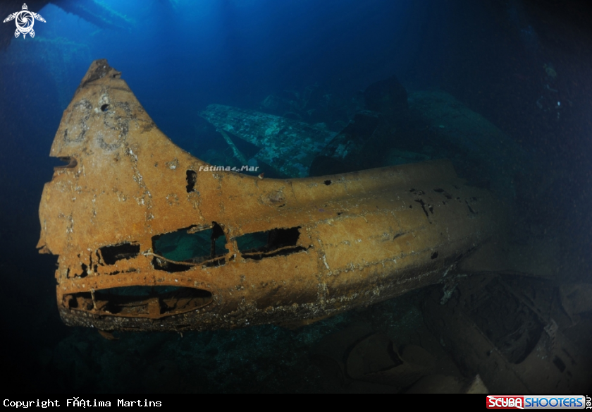 A underwater creature
