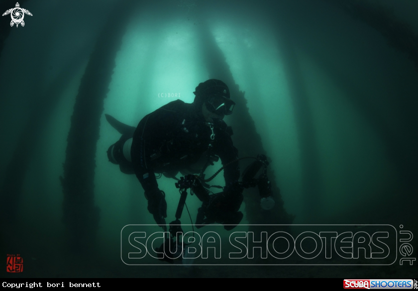 A Diver