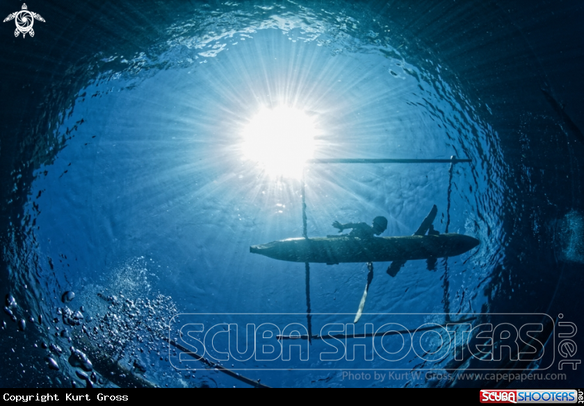 A Underwater world