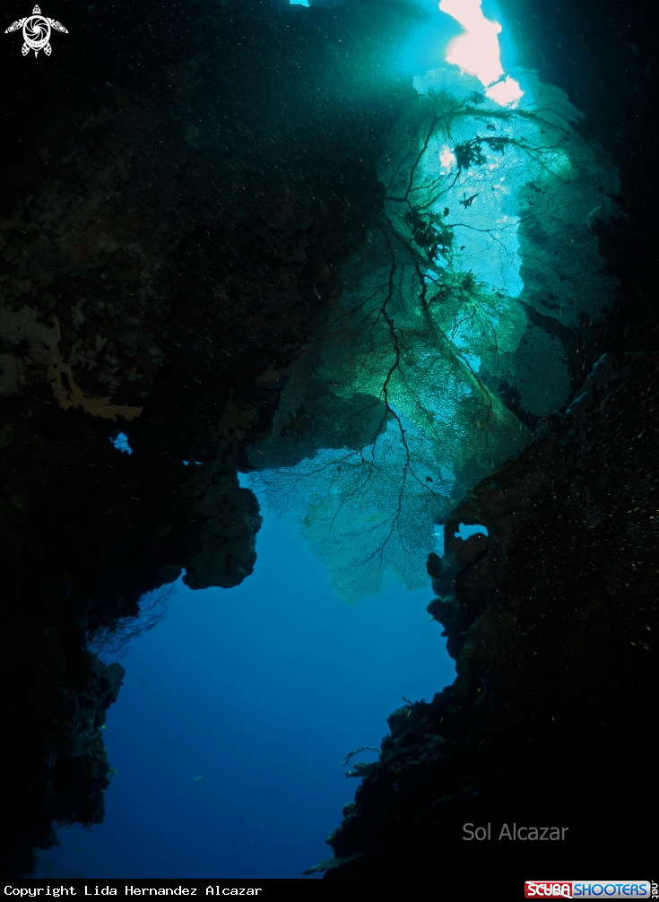 A cave at Menjangan Island