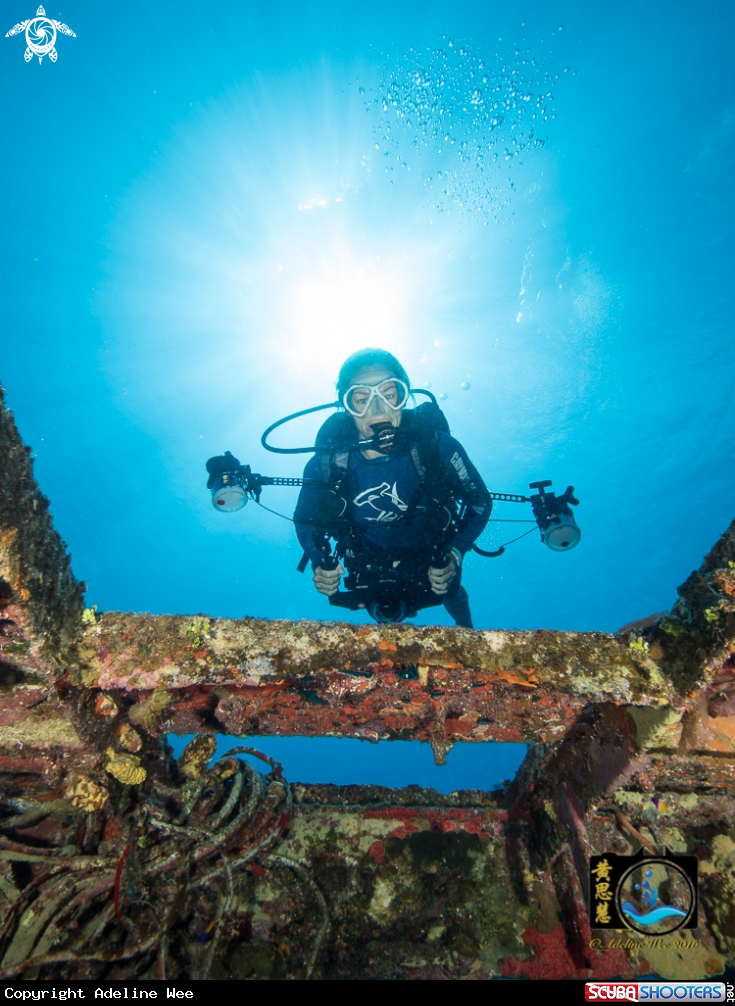 A Profile of a diver