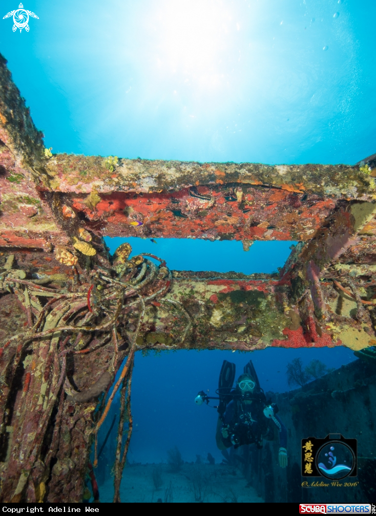 A Wreck & diver