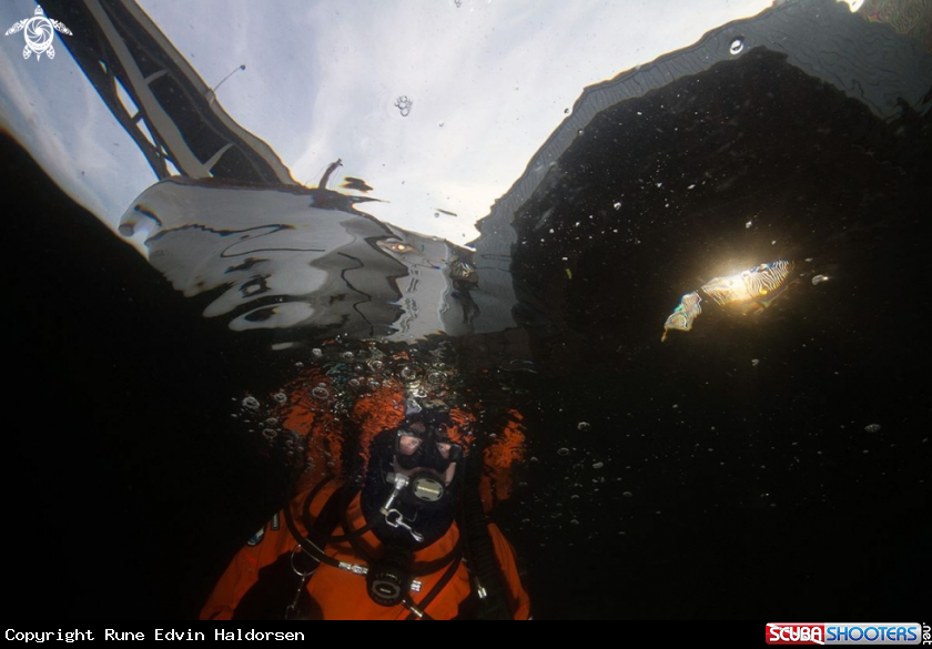 A Diver