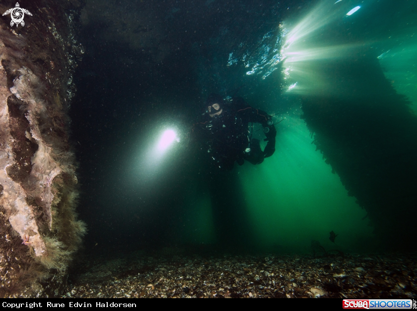 A Diver