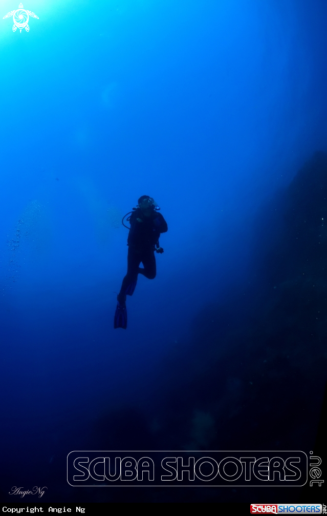 A Diver 