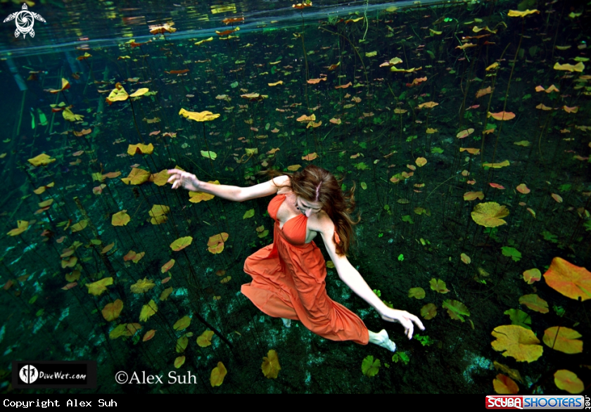 A Underwater Model