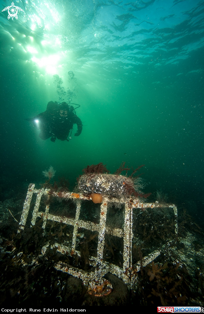 A Scuba diver