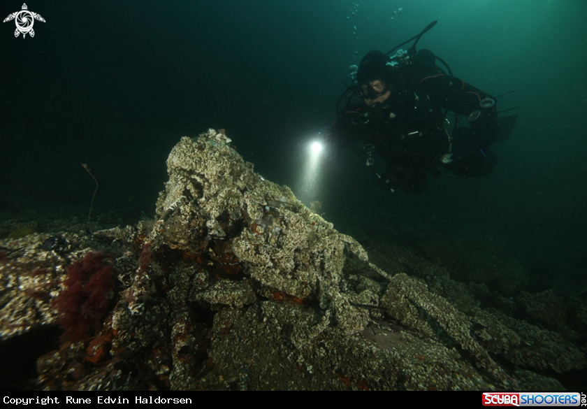 A Marine waste