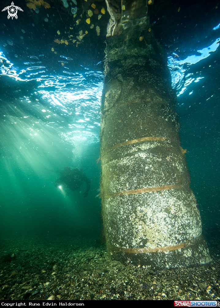 A Scuba diver