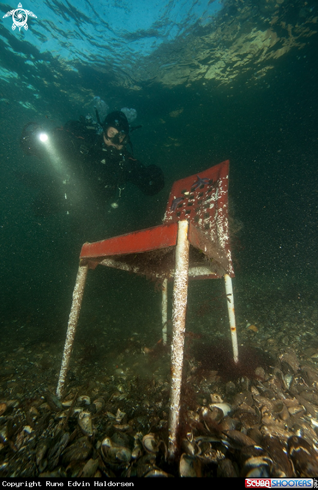 A Marine conservation 