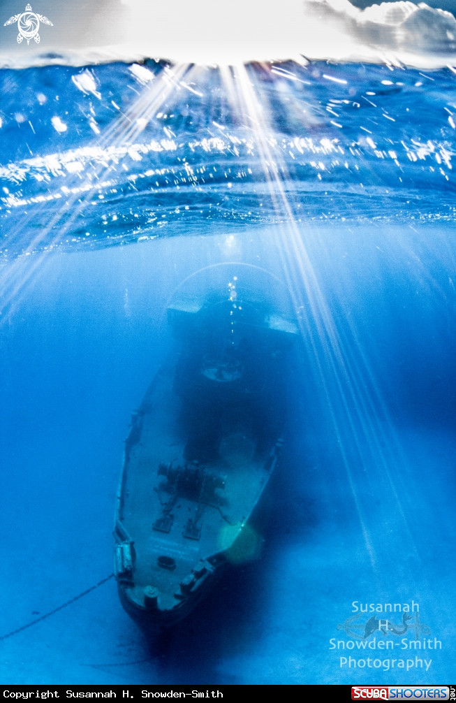 A USS Kittiwake