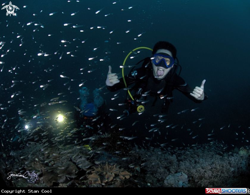 A Glass fish and diver