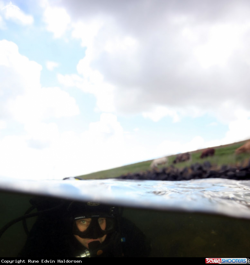 A Diver