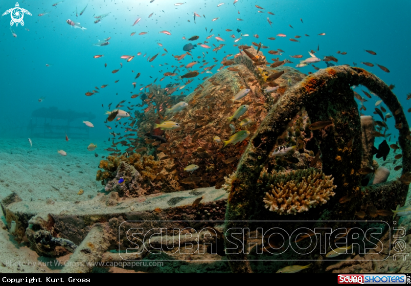A Underwater