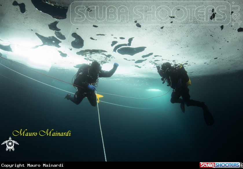 A Ice dive.