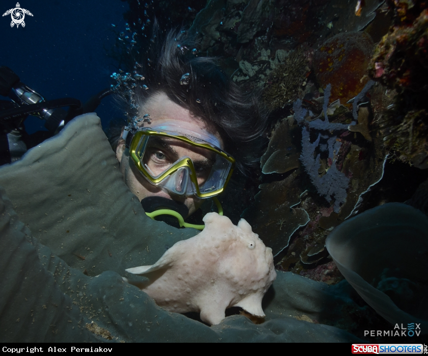 A Frogfish