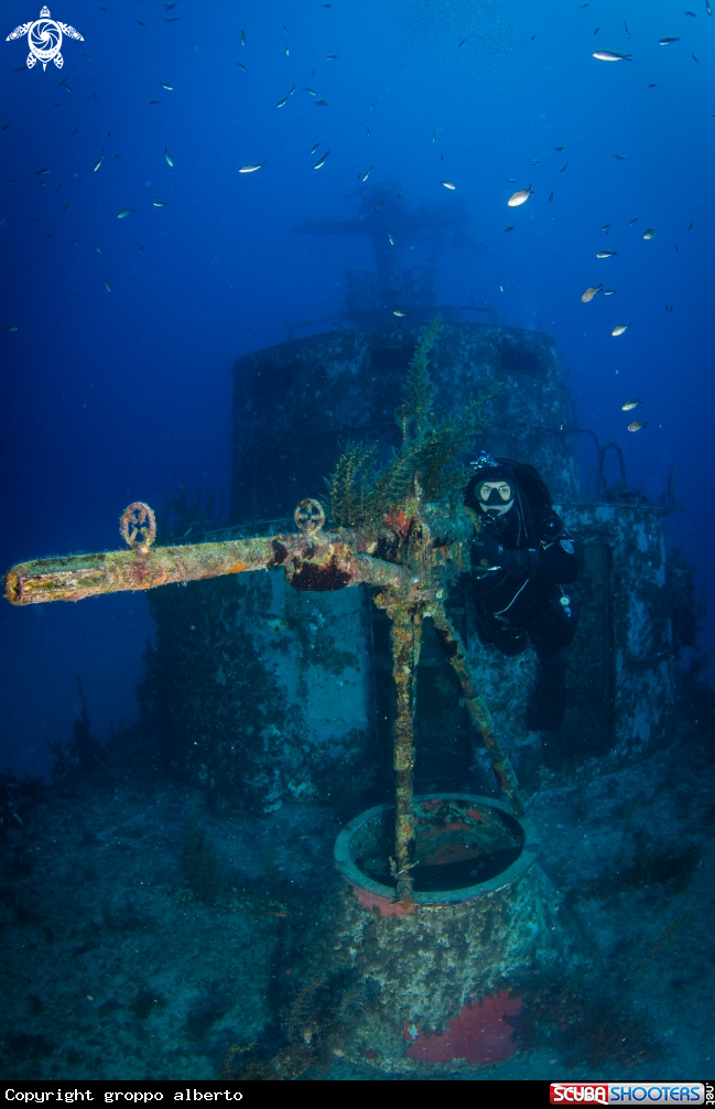 A p-29