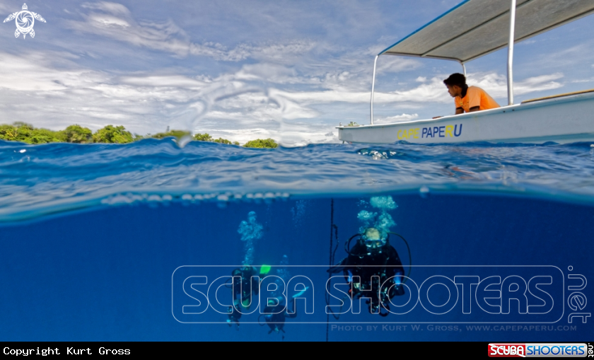 A Diver's