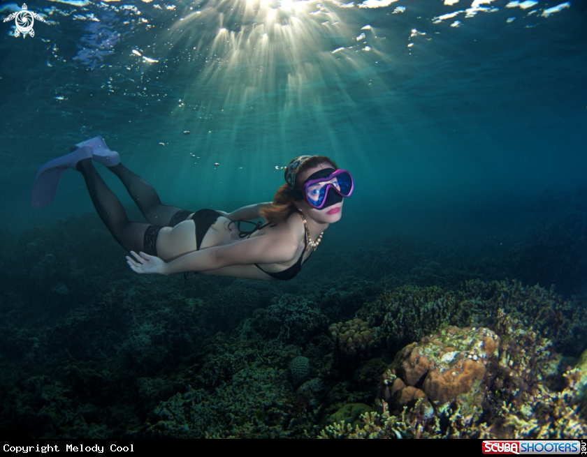 A Mermaid 