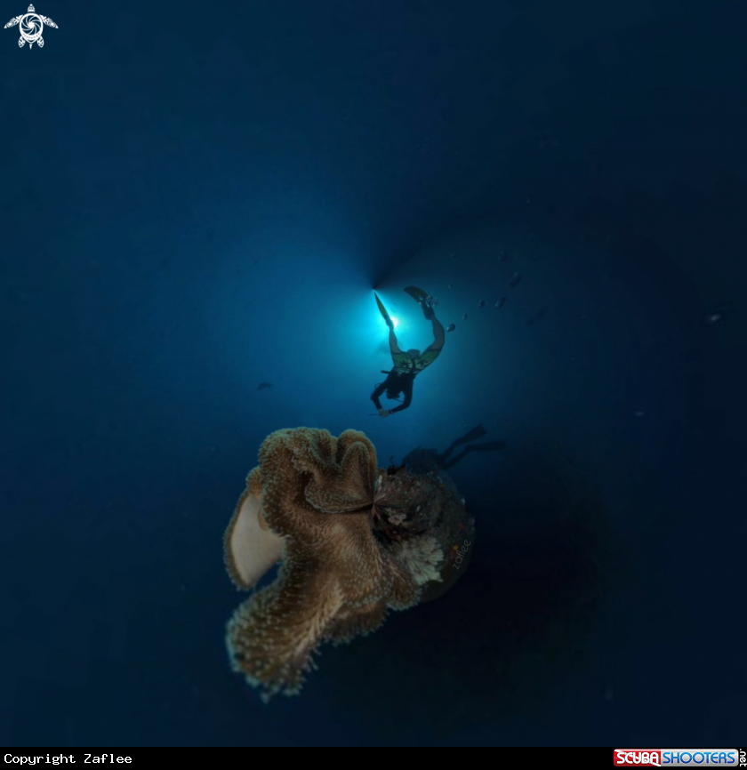 A Scuba diver's life