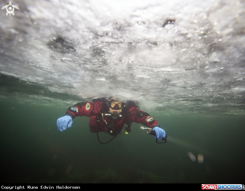 A Diver