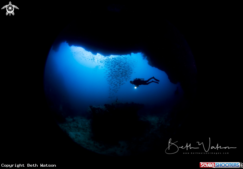 A Diver with light
