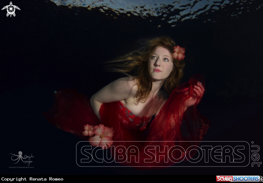 A Nereid
