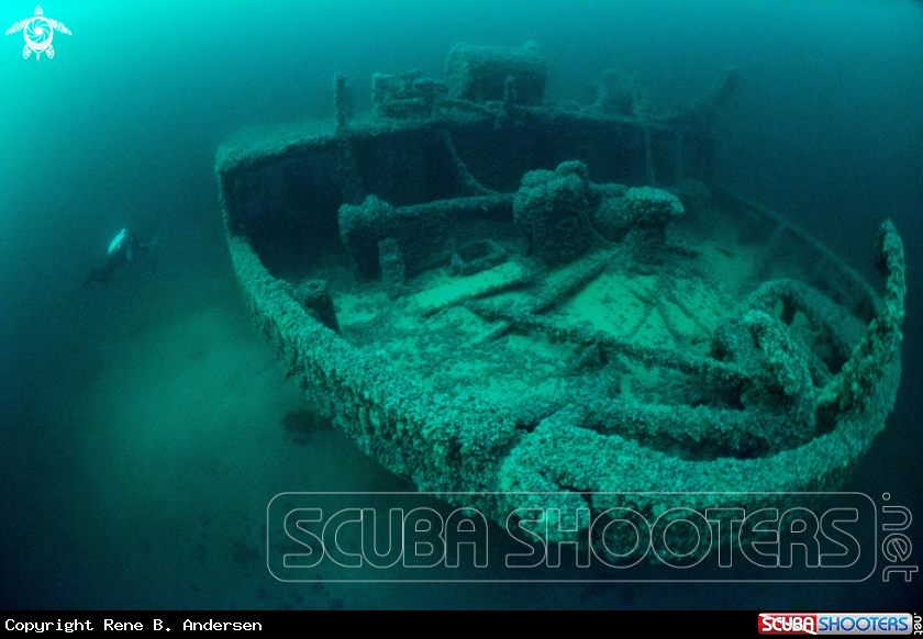 A Bonita Wreck