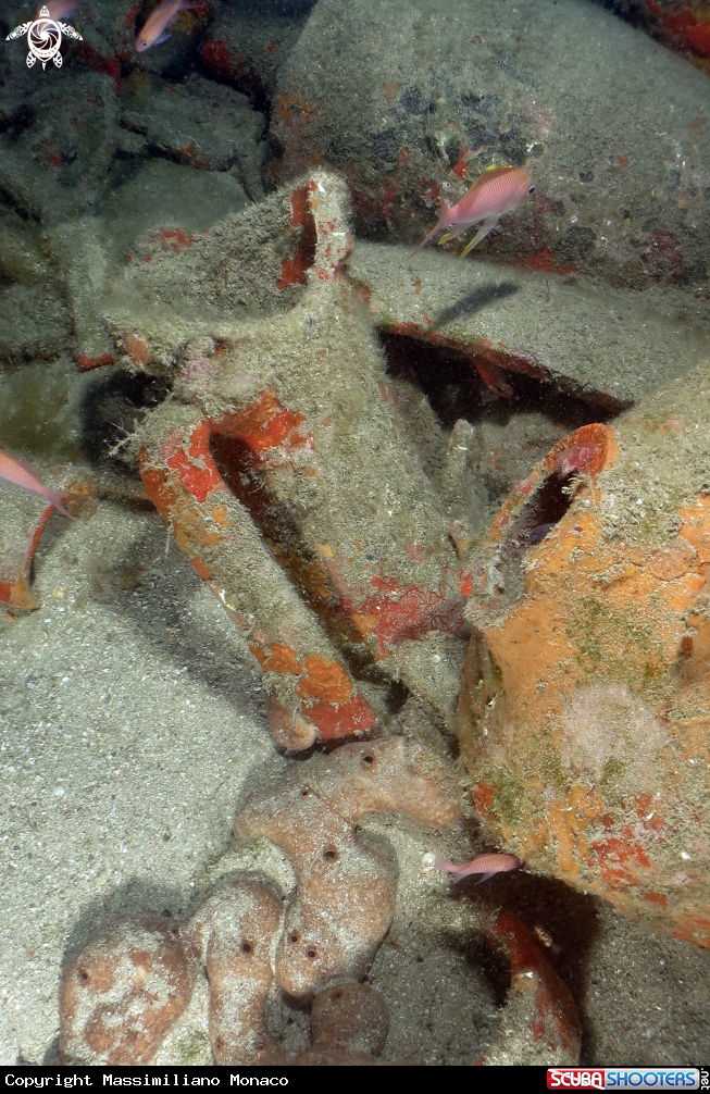 A Anfora vinaria romana - Dressel 1B