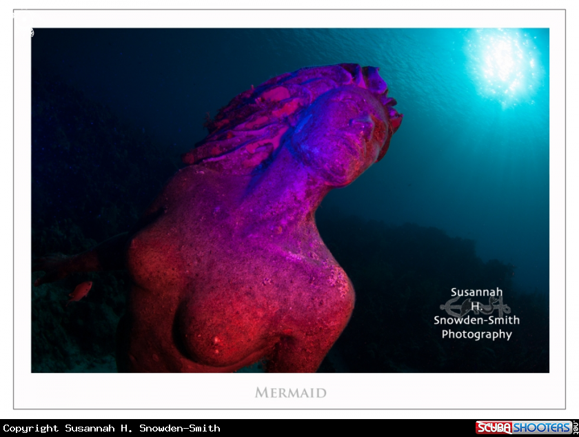 A Mermaid