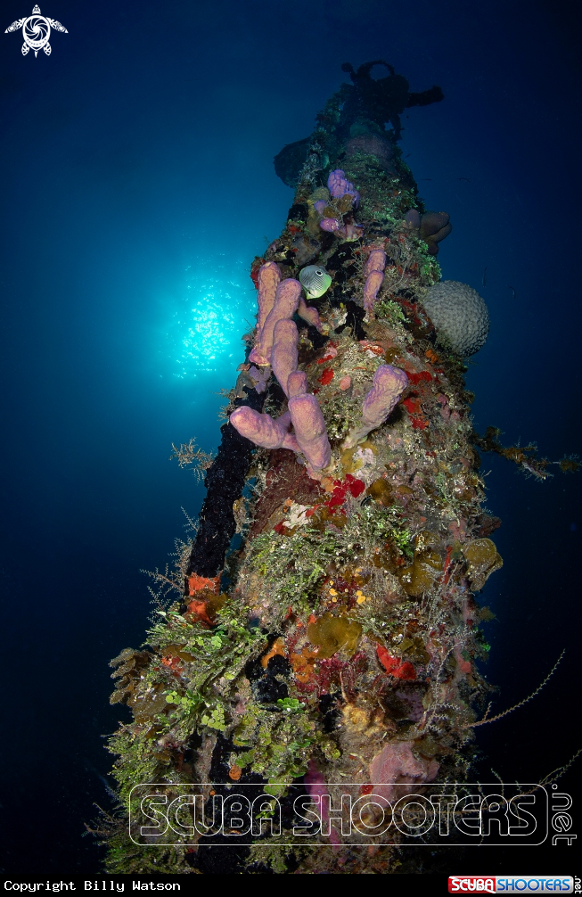 A Mast of the El Aguila