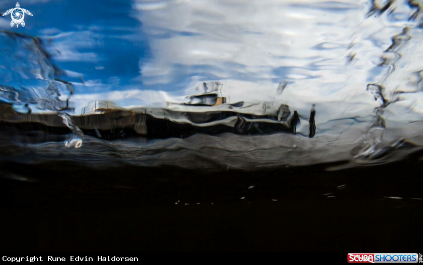 A Ferry