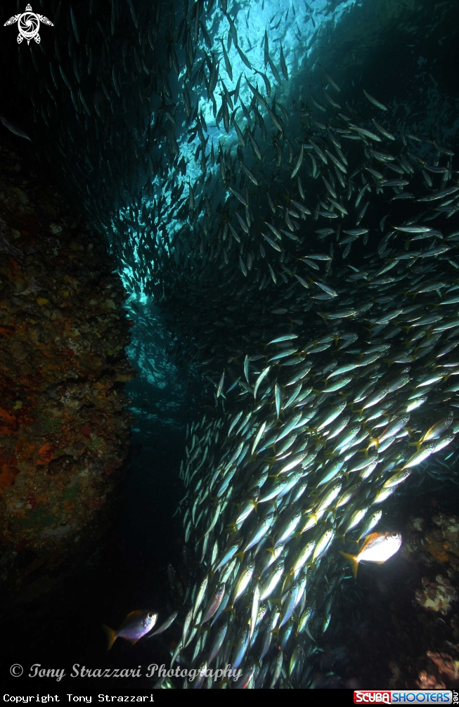A Looking Glass Cave