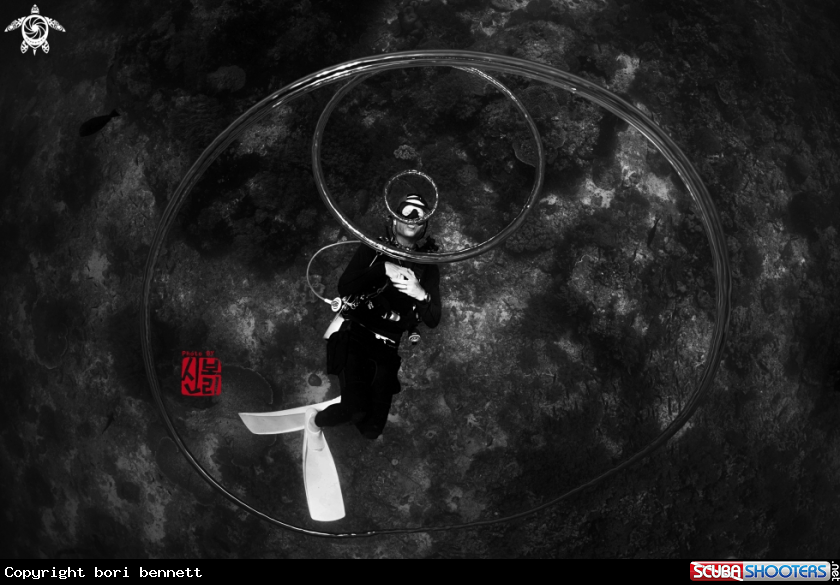 A diver