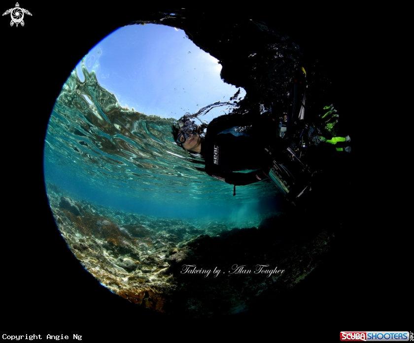 A Diver 