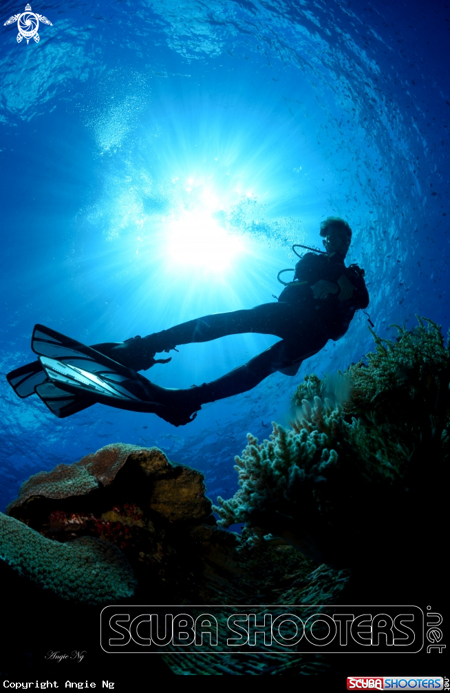 A Diver 