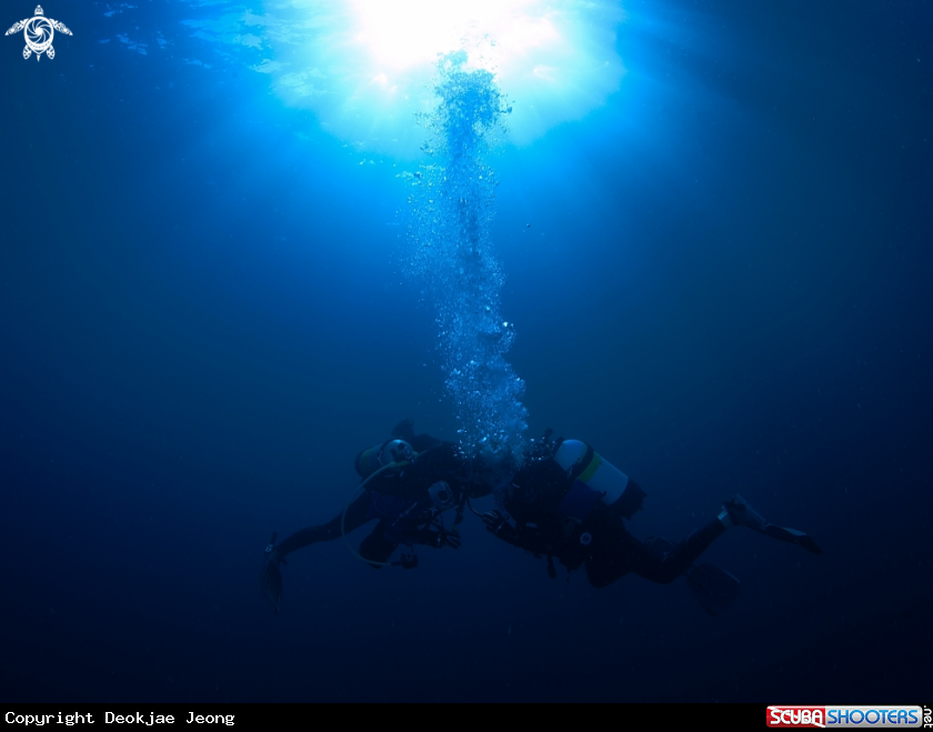 A diver