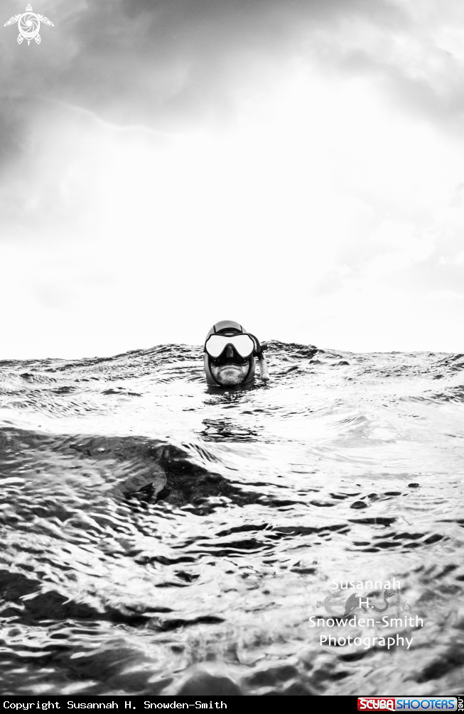 A Stormy Day and Diver