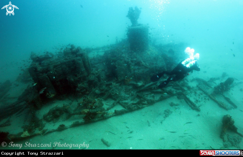 A SS Bonnie Dundee