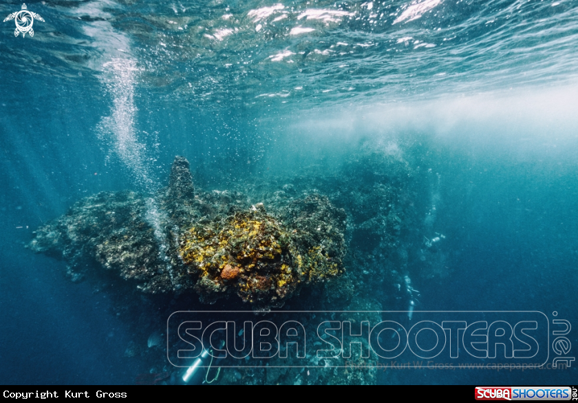 A Divers on a rock