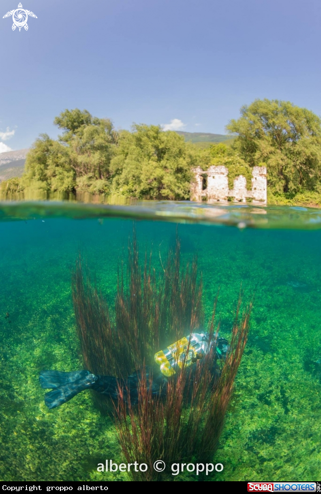 A Lago