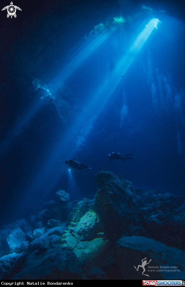 A Cenote Pit