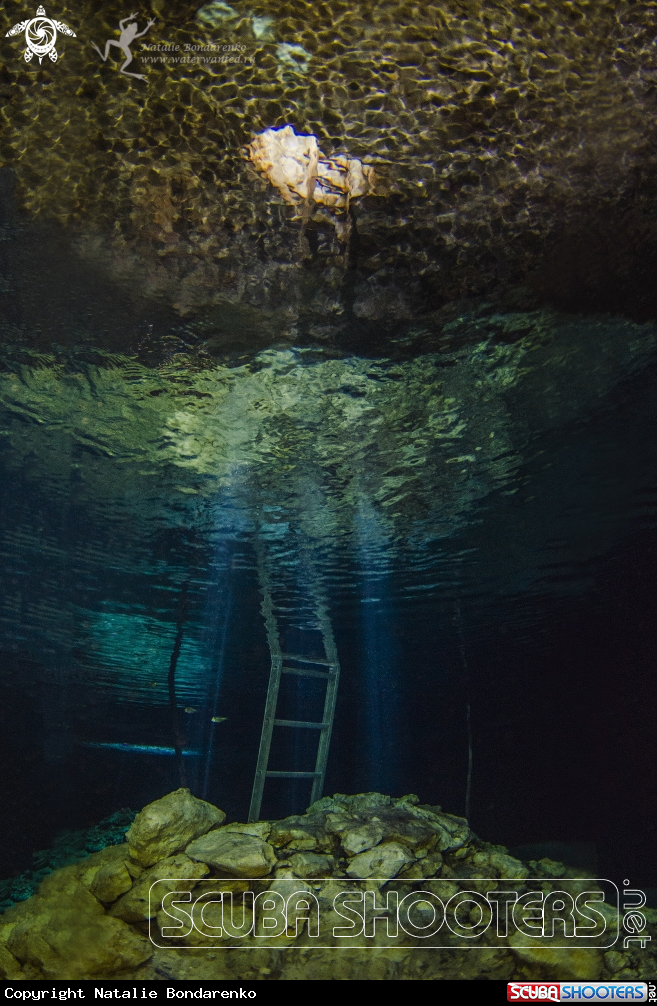 A Cenote Dream Gate